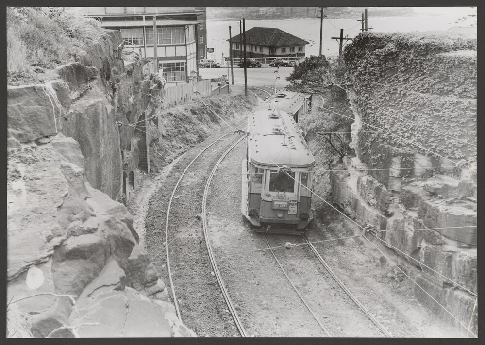 Tram in Bronte Cut