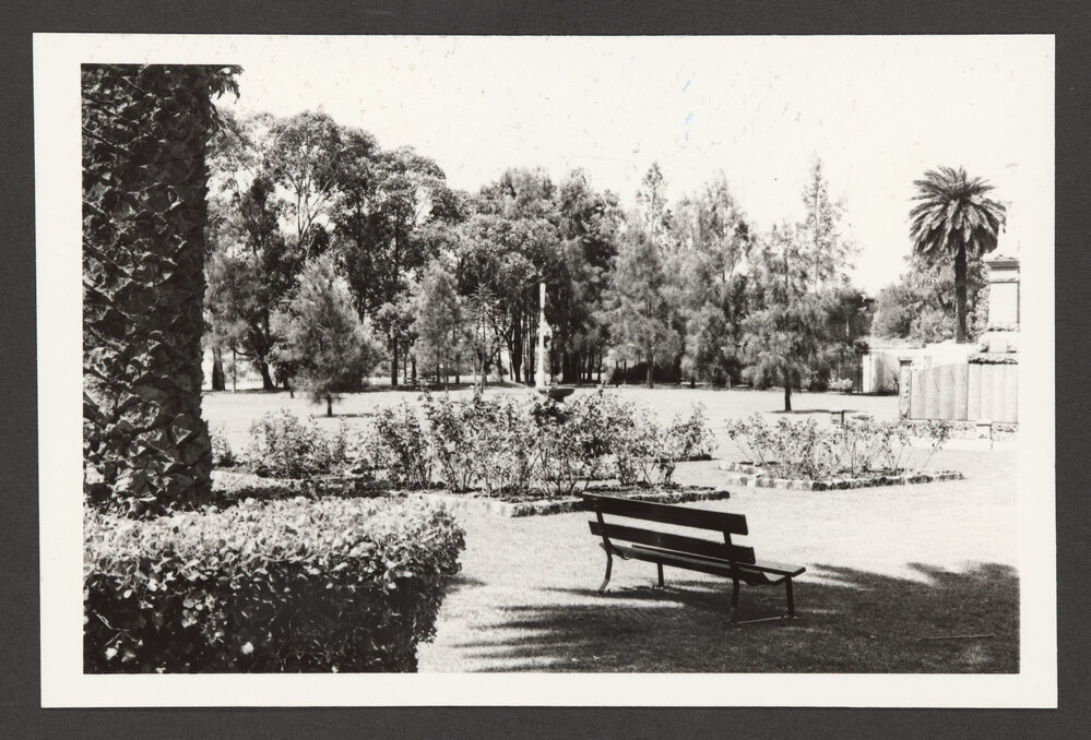 Rose garden near soldiers memorial.
