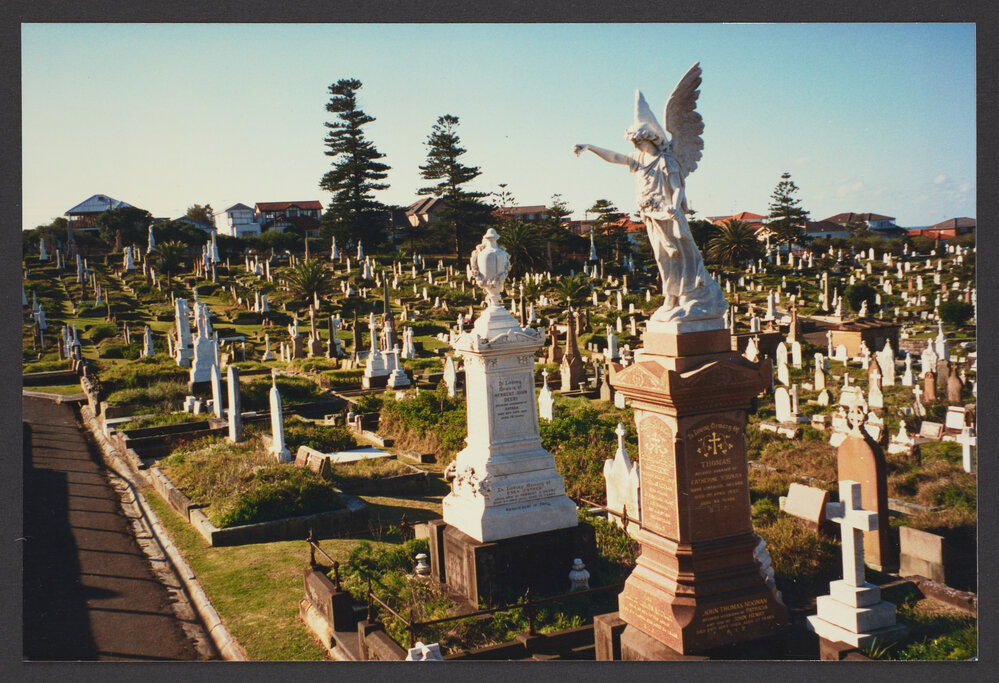 Waverley Cemetery, taken from section 12, with section 10 on left and section 16 on the right.