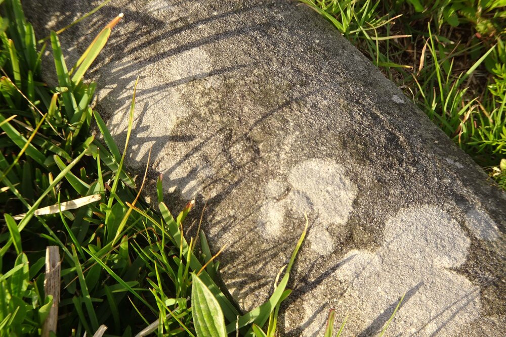 W-02-CE-OR-901  82 9