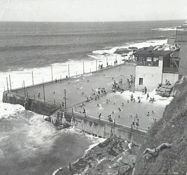 Bondi Amateur Swimming Club