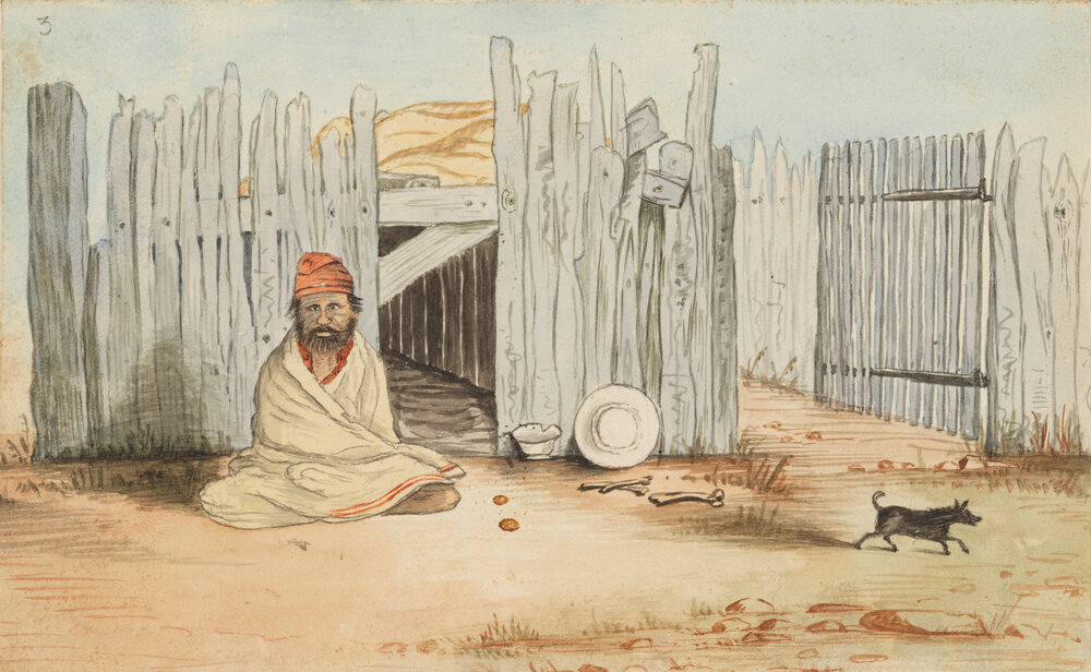 Traditional campsite/cultural movement