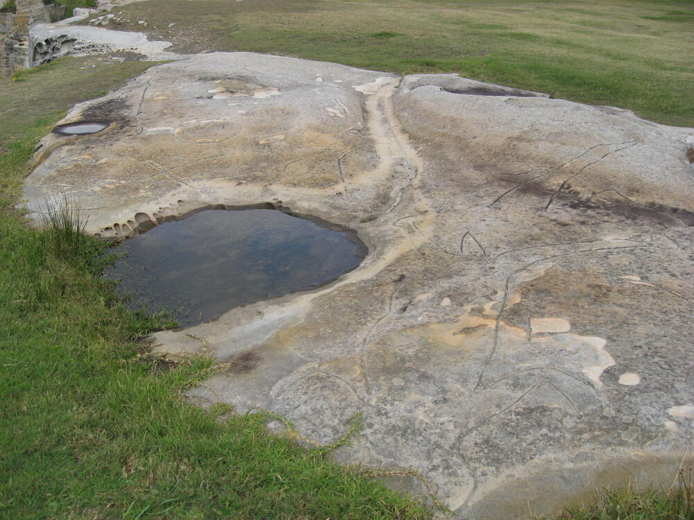 Rock engravings - North Bondi