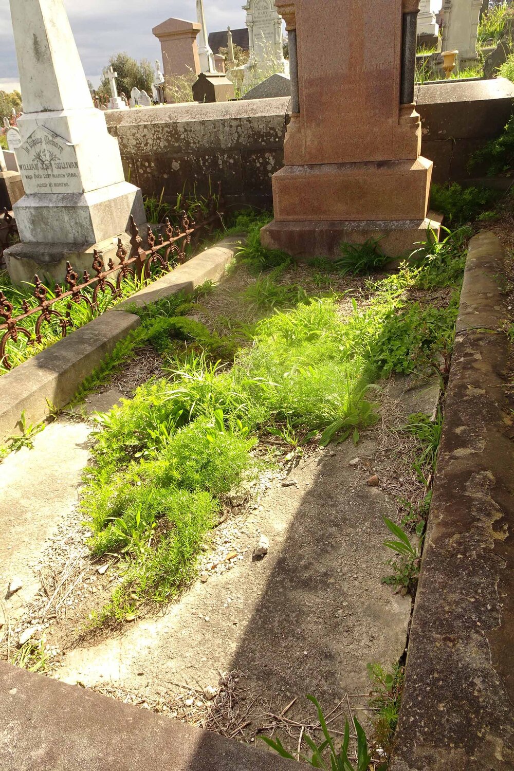 W-02-CE-VL-245A  82 9