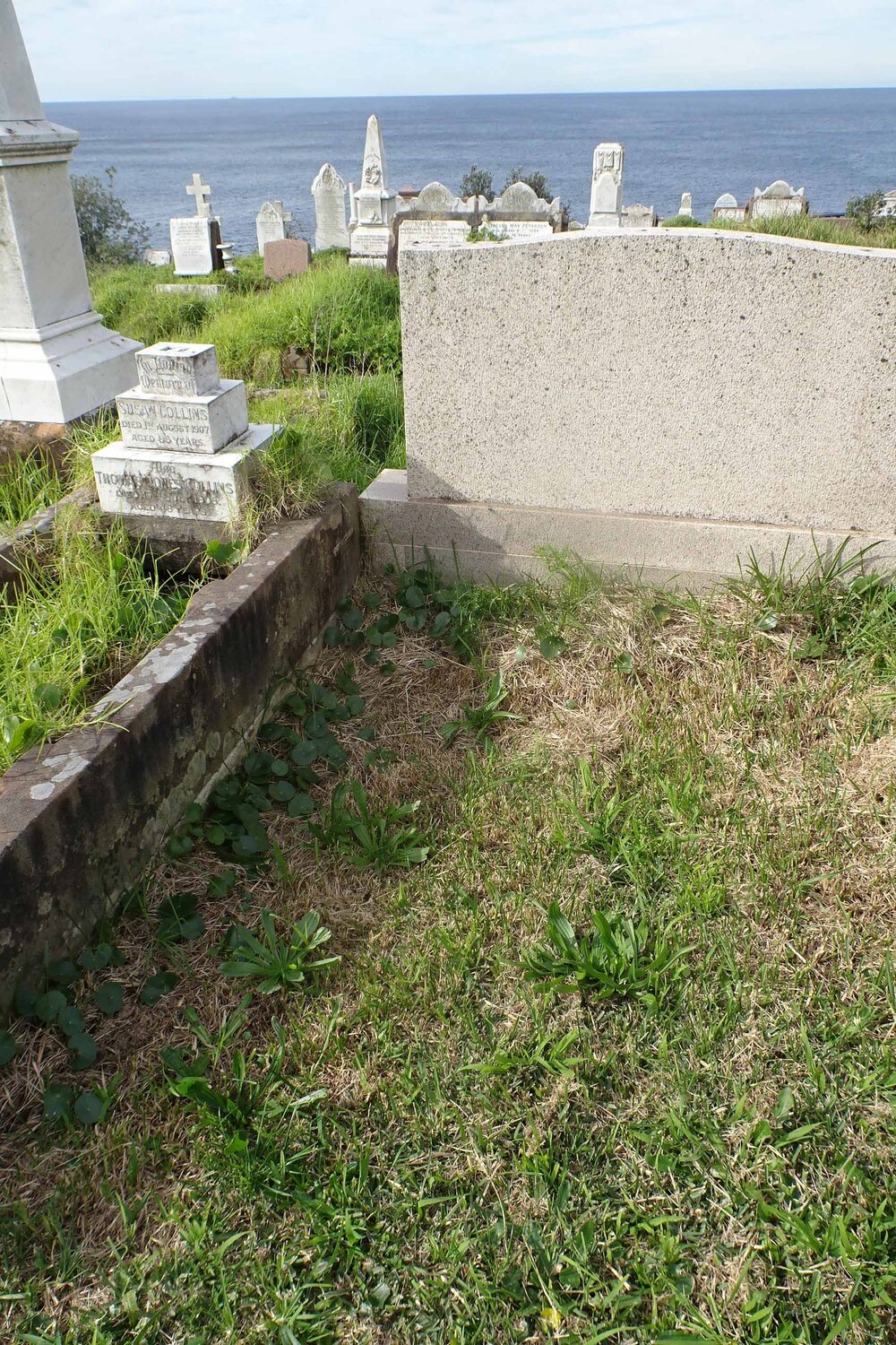 W-19-CE-OR-5246 2