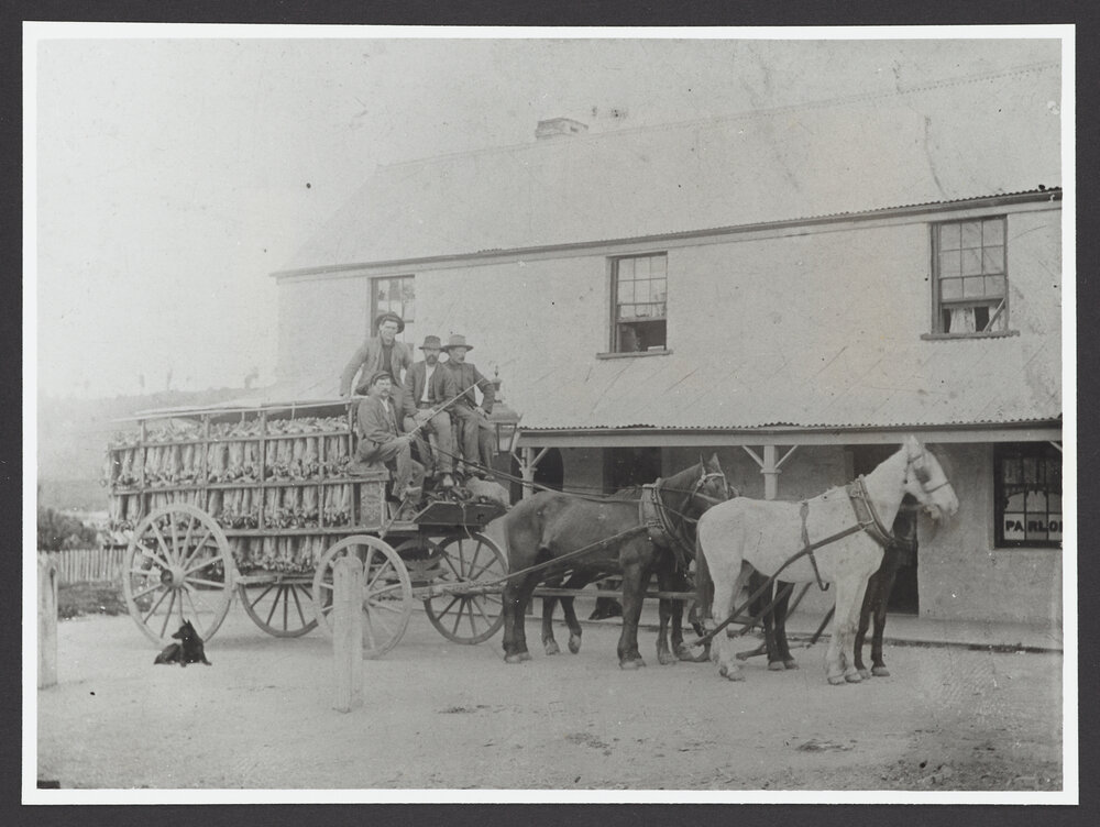 Transportation - Horse Drawn No. 2391
