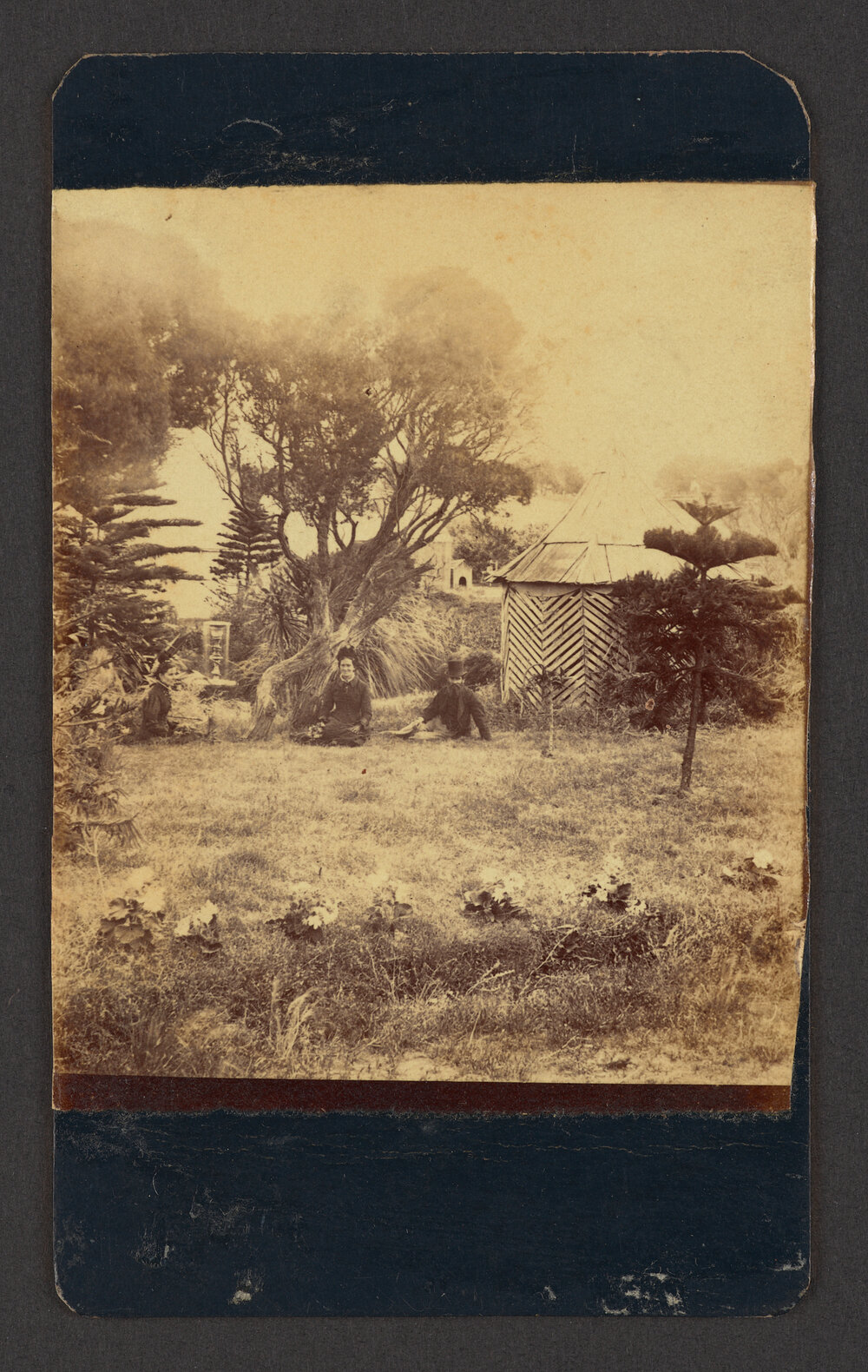 Tamarama - Fletcher's Glen