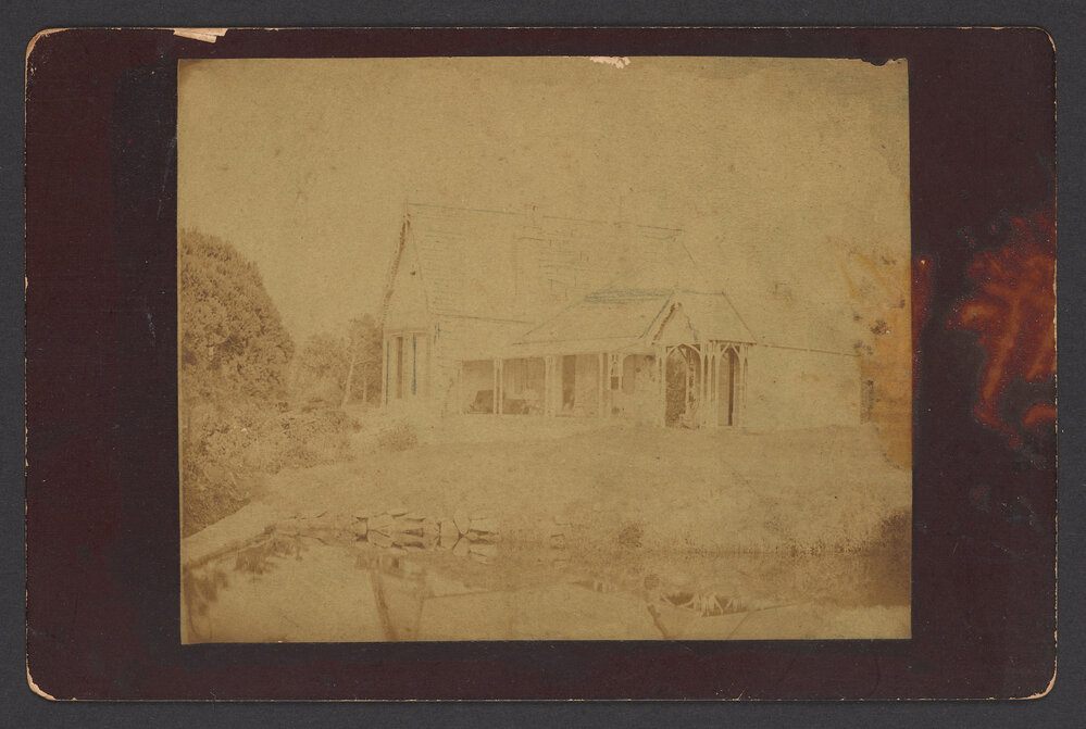 Tamarama - Fletcher's Glen