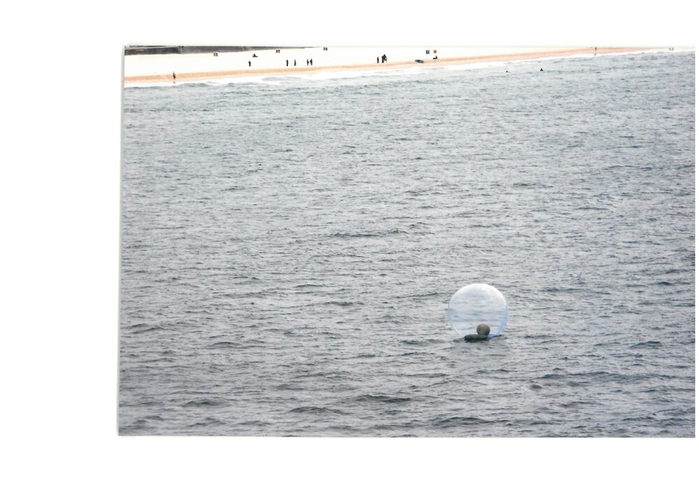 Sculpture By the Sea 2008