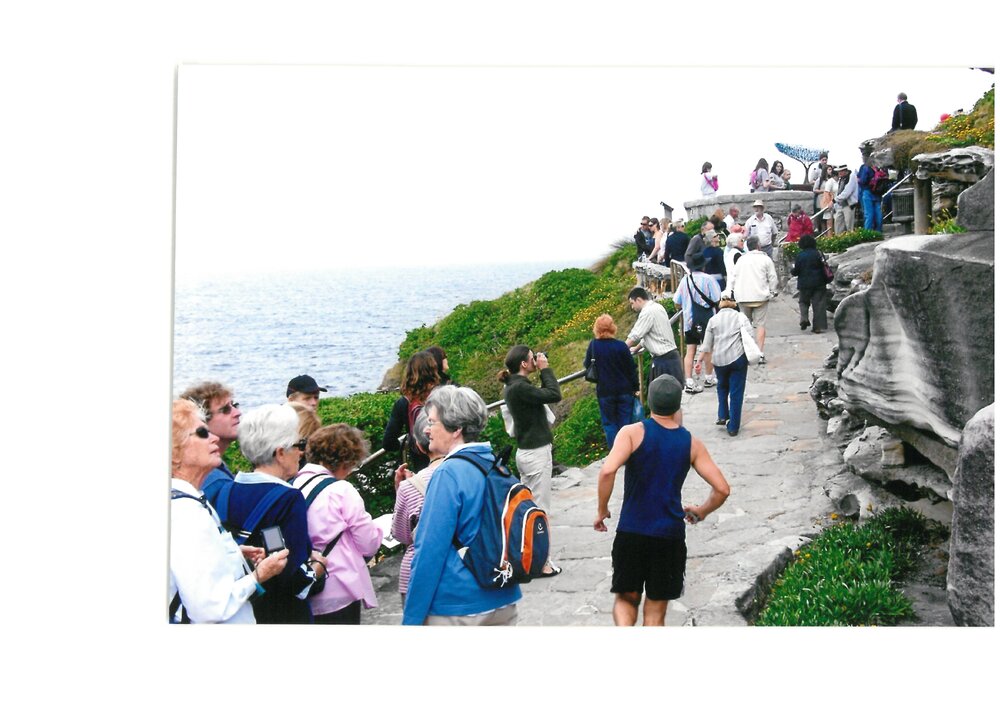Sculpture By the Sea 2008