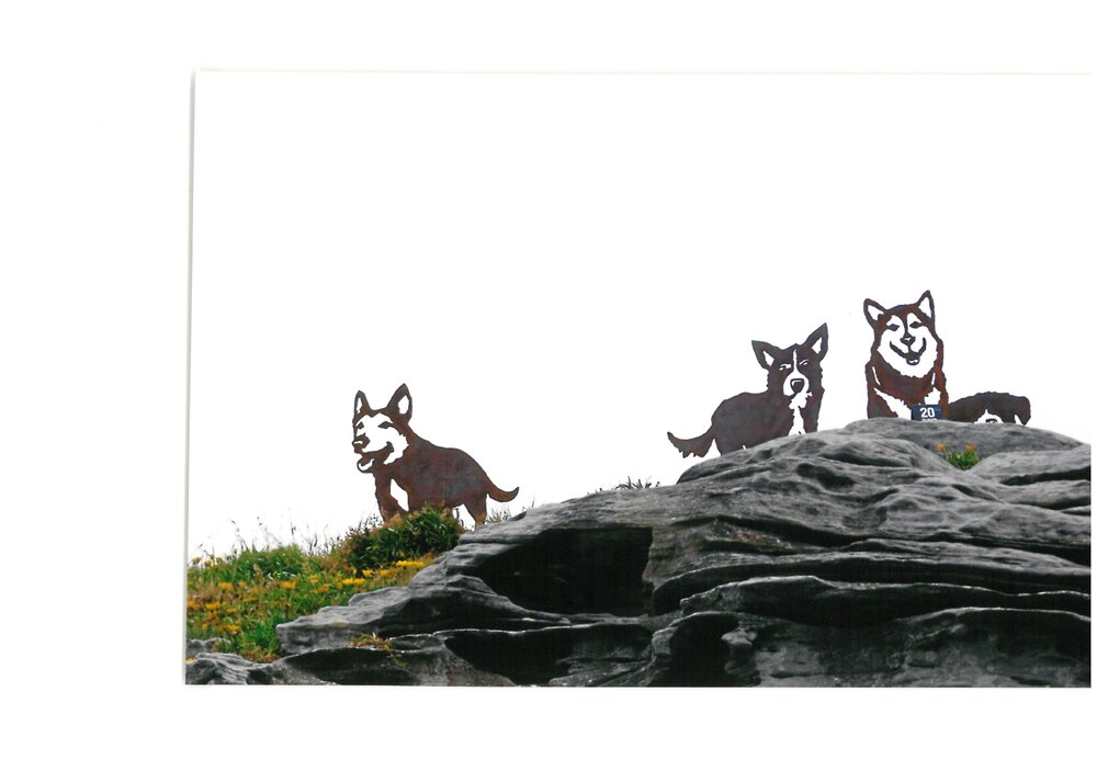 Sculpture By the Sea 2008