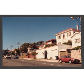 Residences in old south head Road. Between George and Lancaster Streets. (Part of the Ostrich Farm Estate).