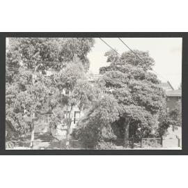Botany Street, Bondi Junction.