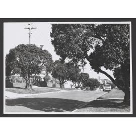 Wallangra Rd, Dover Heights.