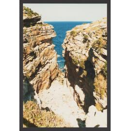 Rosa Gully at Diamond Bay, Vaucluse.