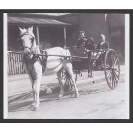 Horse and Sulky. Frederick Richardson of Waverley. Next to Waverley police station with his sons Allan and Cecil. Horse named "Dolly", Bronte Road.