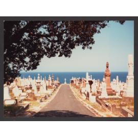 Waverley Cemetery, Driveway between section 6, on left and section 9, on right. Grave at the end of the Driveway is that of Governor Duff.