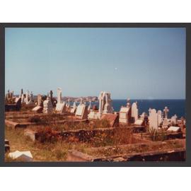 Waverley Cemetery, General view of section 7, looking north to Ben Buckler in background.