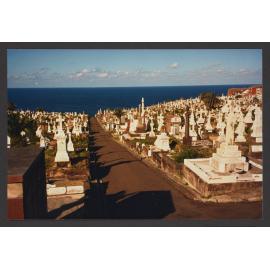 Waverley Cemetery, taken from section 12, with section 10 on left and section 16 on the right.