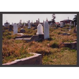 General View, section 6.