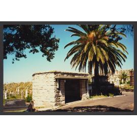 Building and Shelters. Shelter at roundabout a Canary Island Palm tree.