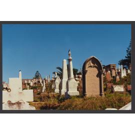 Welcome swallows on obelisks