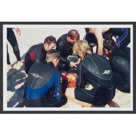 Lifeguards - Waverley Council