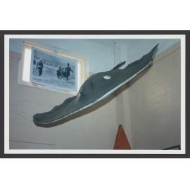 Bondi SBLSC Clubhouse