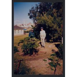 Bondi beach, Planting of Norfolk Pine by Waverley Council Parks and Gardens Staff.