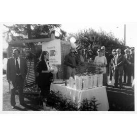 Bondi Beach Norfolk Island Pines Planting - 1990's