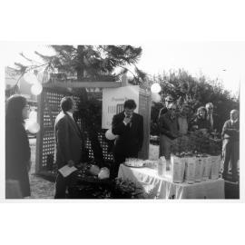 Bondi Beach Norfolk Island Pines Planting - 1990's