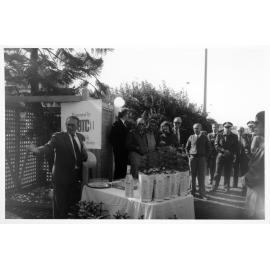 Bondi Beach Norfolk Island Pines Planting - 1990's