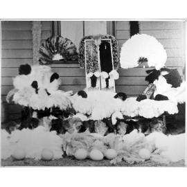 Barracluff's Ostrich Farm