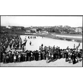 Surf Carnivals