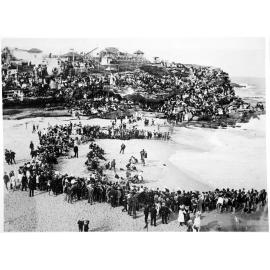 Surf Carnivals