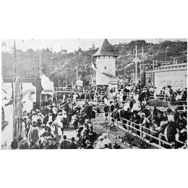 Wonderland City, Tamarama