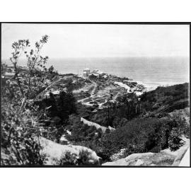 Wonderland City, Tamarama