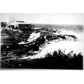 Wonderland City - Tamarama
