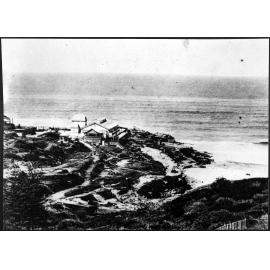 Wonderland City, Tamarama