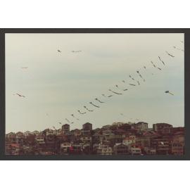 Bondi Pavilion - Activities