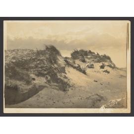 Bondi Sand Hills 1900