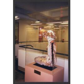 Bondi Mermaid unveiled at Waverley Library
