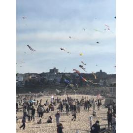 2023 Festival of the Winds
