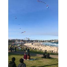 2023 Festival of the Winds
