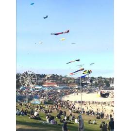 2023 Festival of the Winds