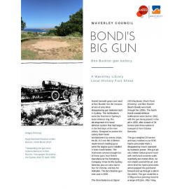Bondi's big gun: Ben Buckler Gun Battery