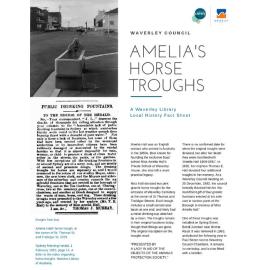 Amelia Hall's horse troughs