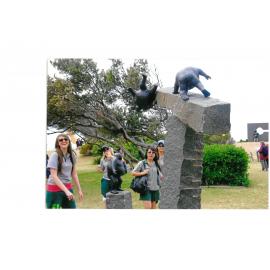 Sculpture By the Sea 2008