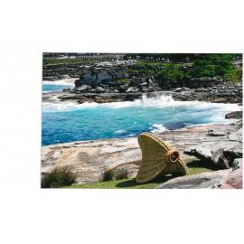 Sculpture By the Sea 2008