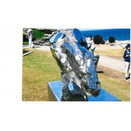 Sculpture By the Sea 2008